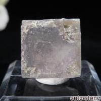 ֥饸 Medina ե饤Ȥθ No.2β