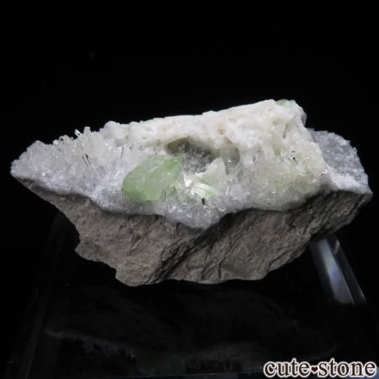 ڥ롼 Mundo Nuevo Mine 饤ȡĤθ No.4