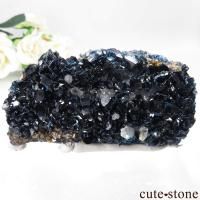 ʥ 桼 ԥåɥ꡼ 饺饤(ŷ)ǥ饤ȡĤθ No.48β