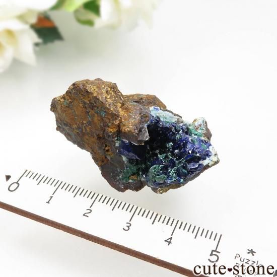  Kamenushinskoe 饤ȡޥ饫Ȥθ No.1μ̿3 cute stone