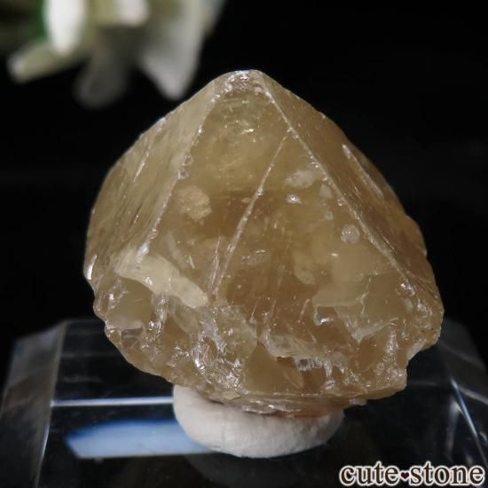  ʻ 饤Ȥθ No.11μ̿1 cute stone