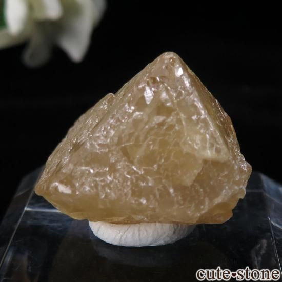  ʻ 饤Ȥθ No.12μ̿2 cute stone