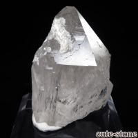  Catogne ⡼ġʥץ徽ˤθ No.1β