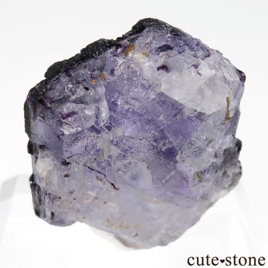 ʥߥӥ 󥴻 ե饤ȡʥԥͥ뼰оˤθ No.21μ̿1 cute stone