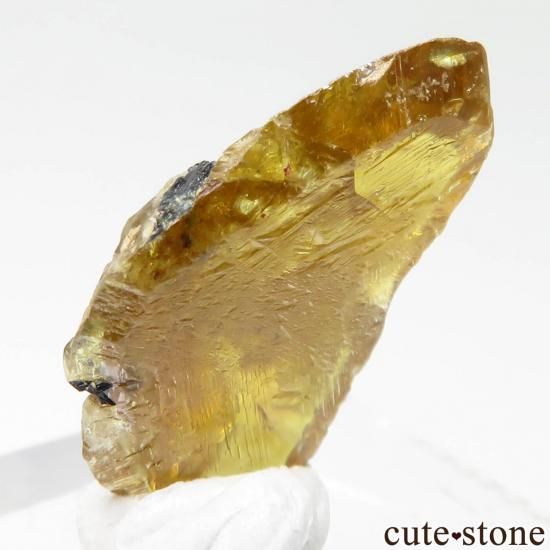 ѥ Zagi Mountain եʥʥȡˤθ No.5μ̿1 cute stone