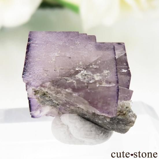 ե Bergheimѡץե饤Ȥθ No.1μ̿1 cute stone