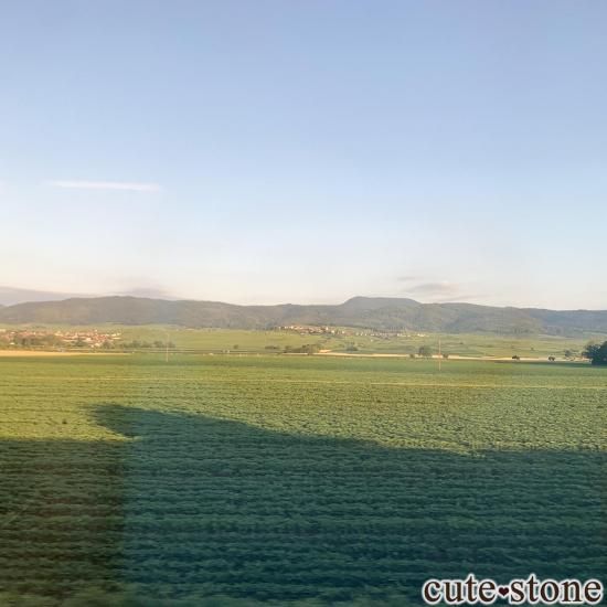 ե Bergheimѡץե饤Ȥθ No.1μ̿4 cute stone