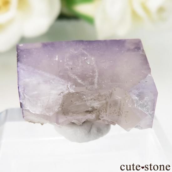 ե Bergheimѡץե饤Ȥθ No.2μ̿1 cute stone