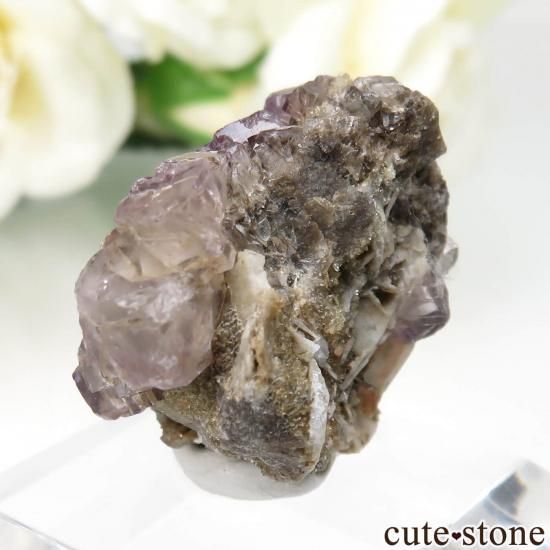 ե Bergheimѡץե饤Ȥθ No.3μ̿1 cute stone