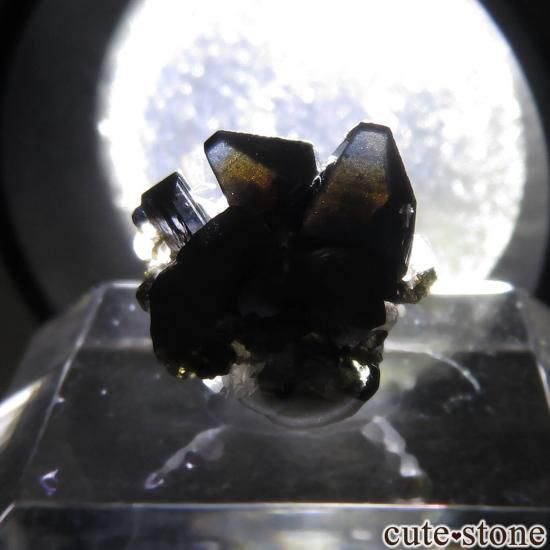 Υ륦 Geiteryggen ʥơǥꥢ θ No.7μ̿3 cute stone