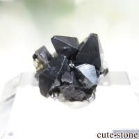 Υ륦 Geiteryggen ʥơǥꥢ θ No.7β
