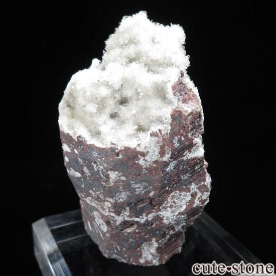  ץ͡ Wagholi Х󥵥ȡҥ塼Ȥθ No.51μ̿1 cute stone