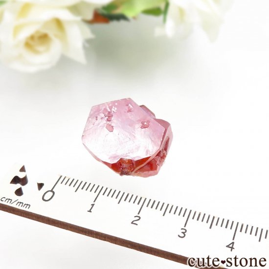 å ACF Mine ХʥʥȤθ No.20μ̿3 cute stone