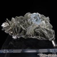 ѥ Chumar Bakhoor ޥ⥹ХȤθ No.22β