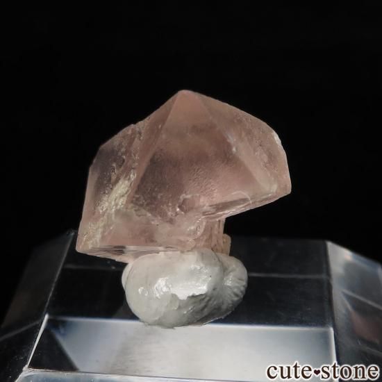 ե ֥ Chamonix ԥ󥯥ե饤Ȥθ No.20μ̿1 cute stone