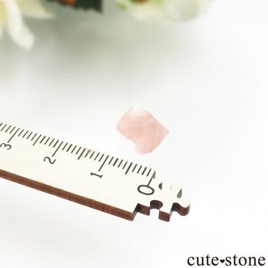 ե ֥ Chamonix ԥ󥯥ե饤Ȥθ No.20μ̿3 cute stone