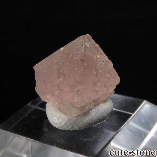 ե ֥ Chamonix ԥ󥯥ե饤Ȥθ No.21μ̿1 cute stone