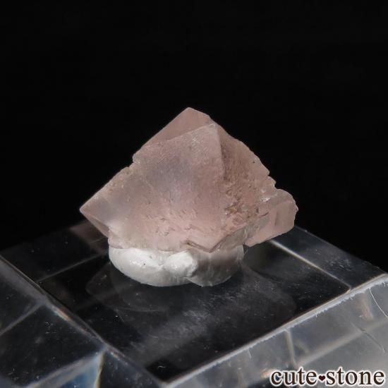 ե ֥ Chamonix ԥ󥯥ե饤Ȥθ No.23μ̿0 cute stone