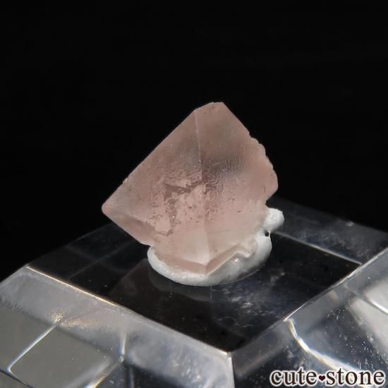 ե ֥ Chamonix ԥ󥯥ե饤Ȥθ No.23μ̿1 cute stone