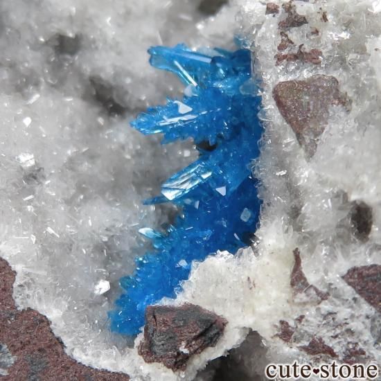  ץ͡ Wagholi ڥ󥿥ʥȡ륵ȡҥ塼Ȥθ No.6μ̿1 cute stone