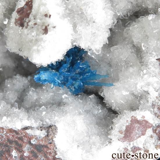  ץ͡ Wagholi ڥ󥿥ʥȡҥ塼Ȥθ No.7μ̿1 cute stone