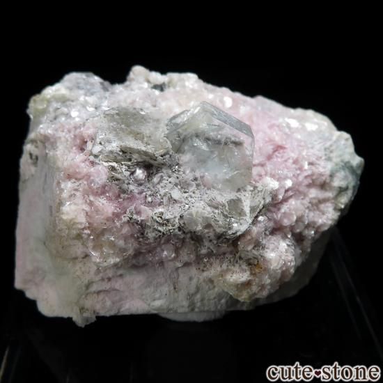 ե˥ Deo Darrah 륫٥⥹ХȤθ No.7