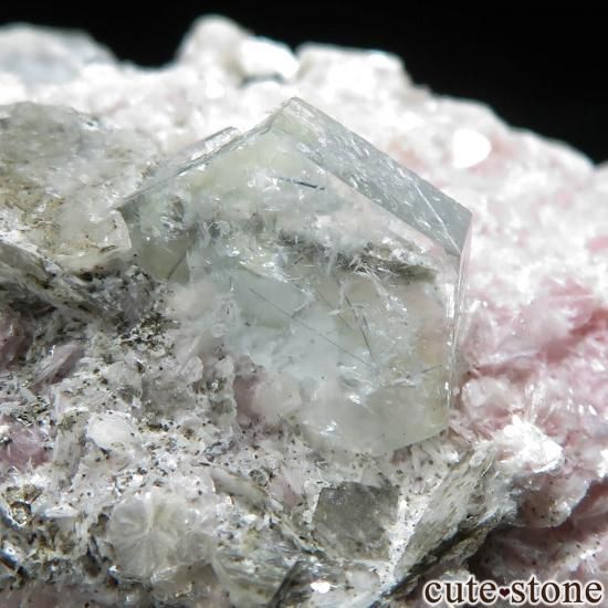 ե˥ Deo Darrah 륫٥⥹ХȤθ No.7μ̿0 cute stone