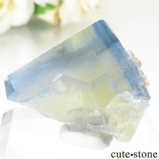 ե Trebas ֥롼ߥե饤ȡĤθ No.1μ̿1 cute stone