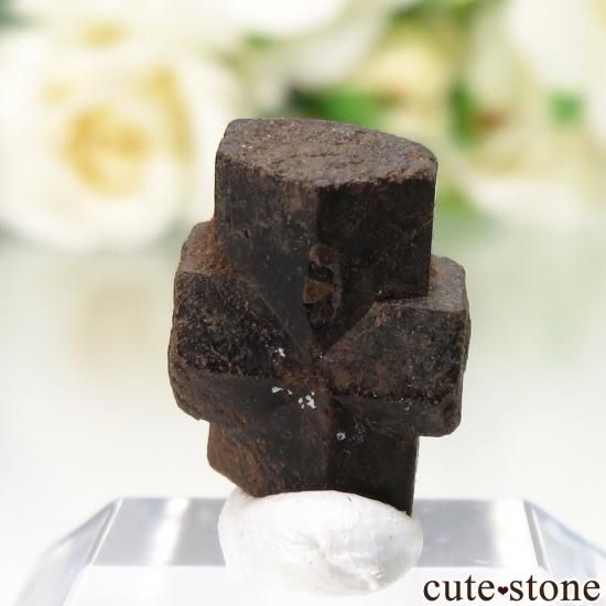 ޥ Ampanivana 饤ȡʽСˤθ No.1μ̿1 cute stone