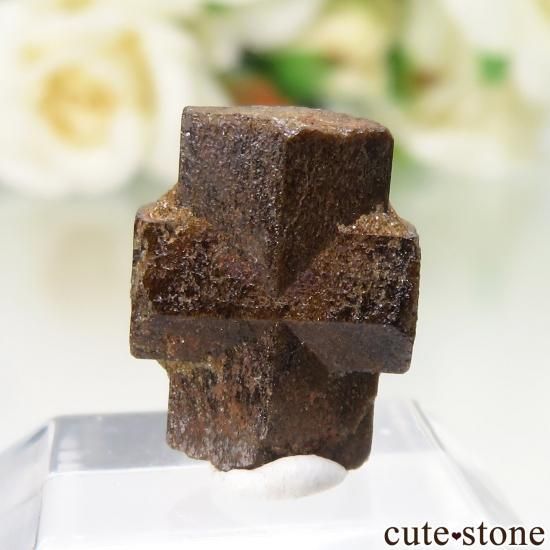 マダガスカル Ampanivana産 スタウロライト(十字石)の原石 No.3の写真1 cute stone