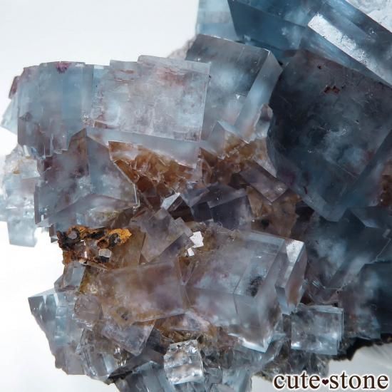 ڥꥯȾʡ ɥ Hesselbach Mine ֥롼ե饤Ȥθ No.5μ̿1 cute stone