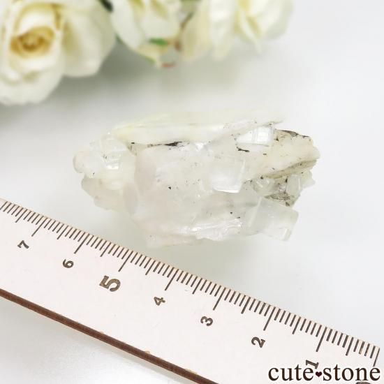 ڥ Emilio Mine ե饤ȡХ饤Ȥθ No.19μ̿3 cute stone