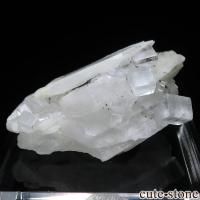 ڥ Emilio Mine ե饤ȡХ饤Ȥθ No.19β