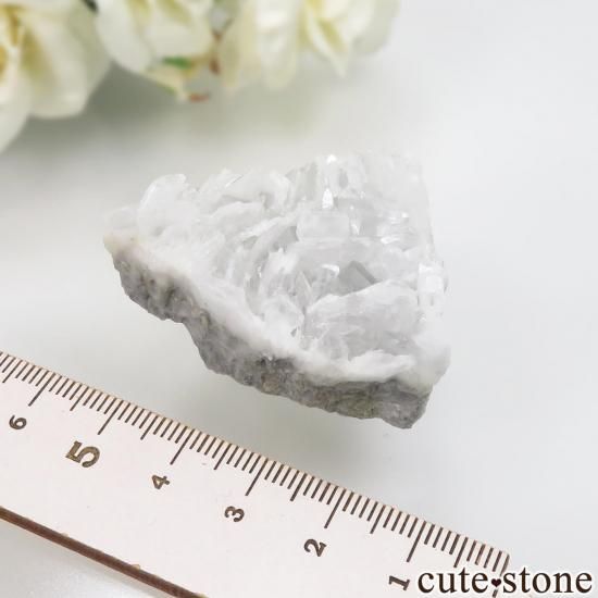 ڥ Emilio Mine ե饤ȡХ饤Ȥθ No.21μ̿3 cute stone