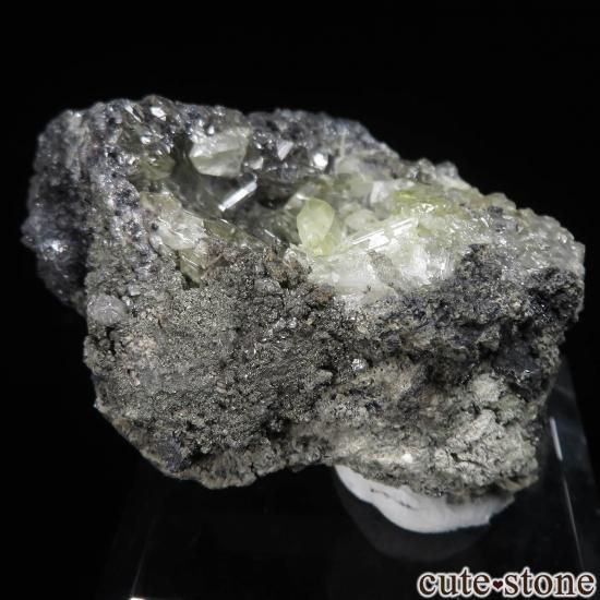 å Touissit 󥰥쥵Ȥθ No.3μ̿1 cute stone