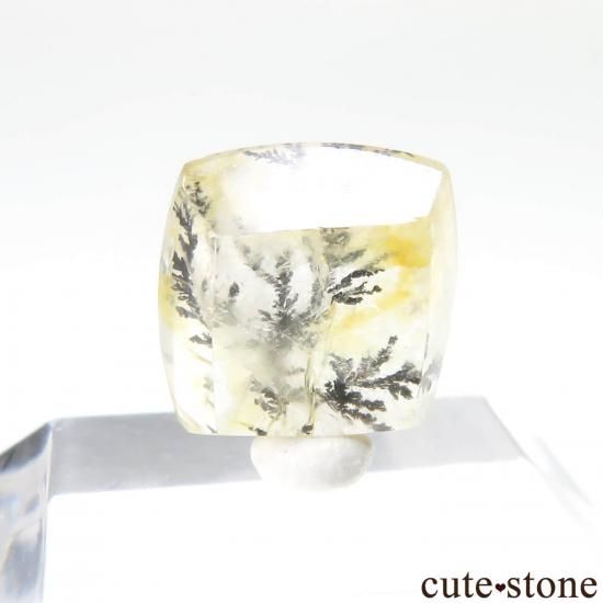 ֥饸 ߥʥ饤 ǥɥƥåĤΥ롼 No.47μ̿1 cute stone