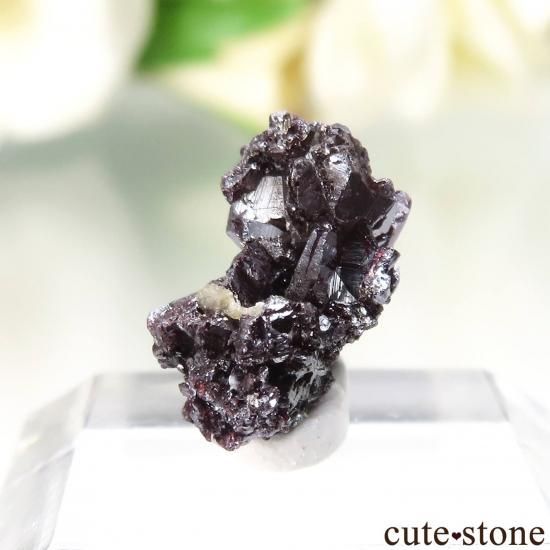 ɥ Niederschlema(Shaft 38) ץ롼Ȥθ No.1