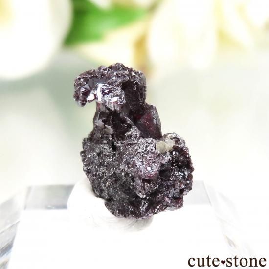 ɥ Niederschlema(Shaft 38) ץ롼Ȥθ No.1μ̿0 cute stone