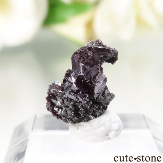 ɥ Niederschlema(Shaft 38) ץ롼Ȥθ No.1μ̿2 cute stone