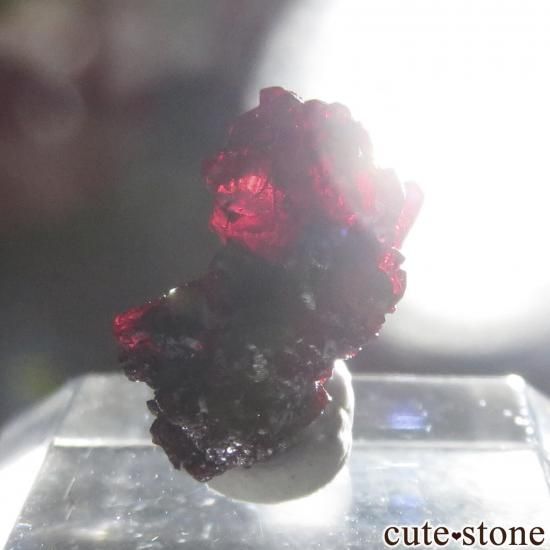 ɥ Niederschlema(Shaft 38) ץ롼Ȥθ No.1μ̿3 cute stone