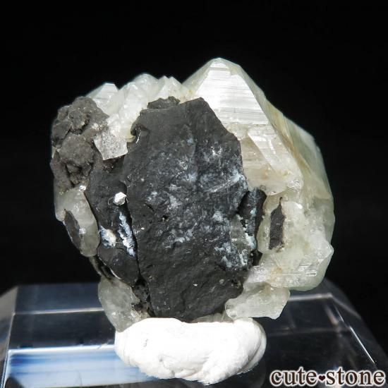 ʥ 桼 ԥåɥ꡼ Ȥθ No.1μ̿1 cute stone