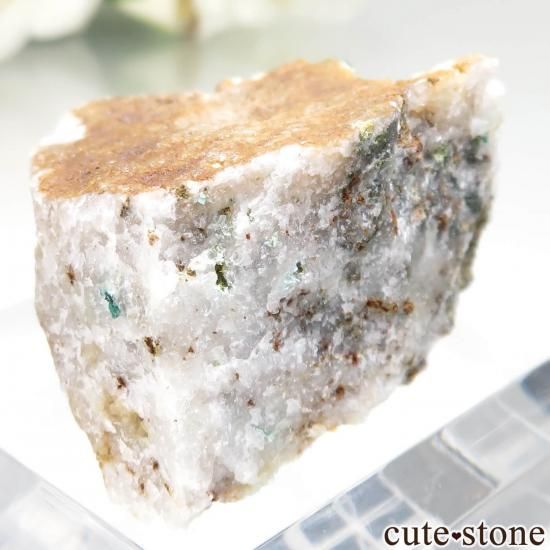 ɥ Clara Mine Υ졼θ No.1μ̿1 cute stone