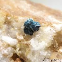 ɥ Clara Mine Υ졼θ No.1β