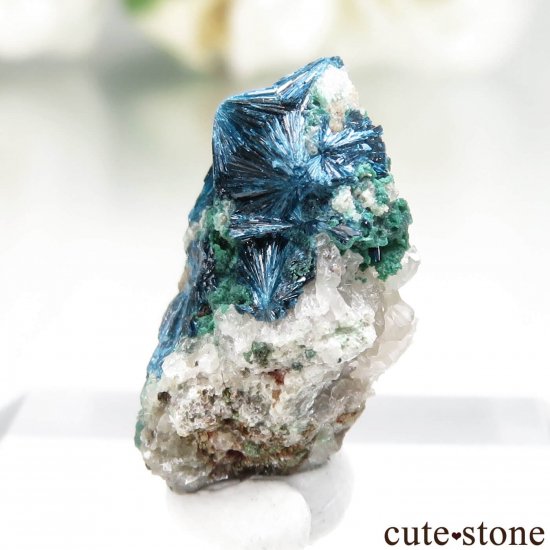 ɥ Clara Mine Υ졼ޥ饫Ȥθ No.3μ̿2 cute stone