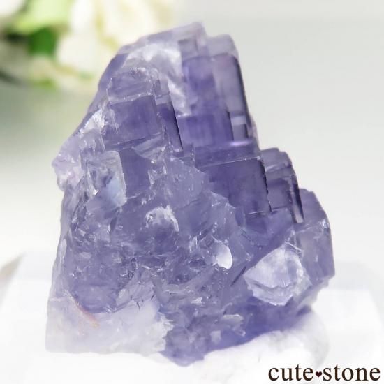 뼫 Akesu ѡץե饤Ȥθ No.4μ̿0 cute stone