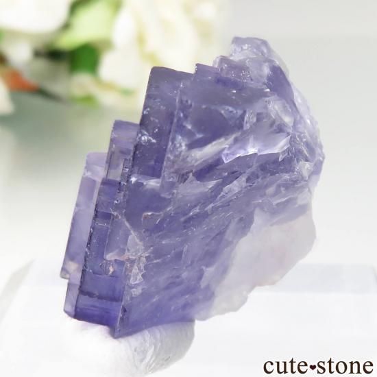 뼫 Akesu ѡץե饤Ȥθ No.4μ̿2 cute stone