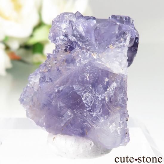 뼫 Akesu ѡץե饤Ȥθ No.5μ̿1 cute stone