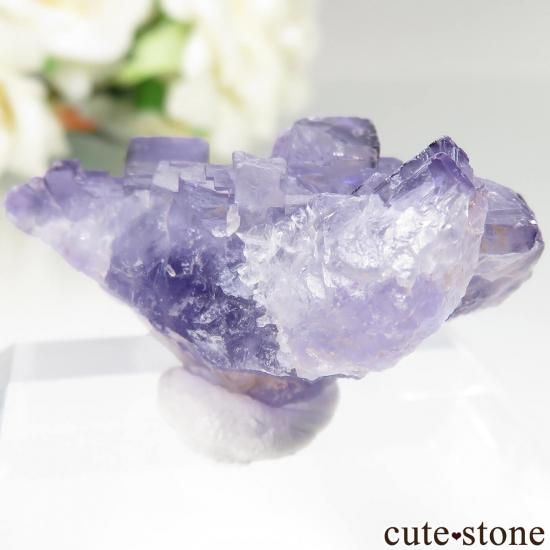 뼫 Akesu ѡץե饤Ȥθ No.6μ̿1 cute stone