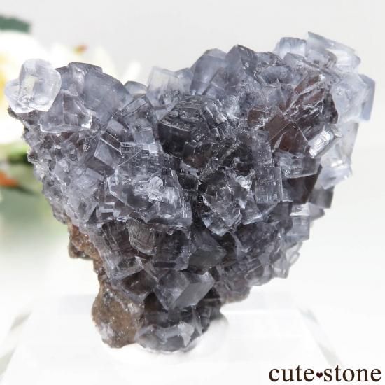 ڥ Emilio Mine ե饤Ȥθ No.24μ̿1 cute stone