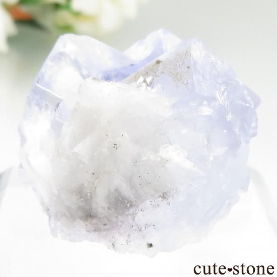 ڥ Emilio Mine ե饤ȡХ饤Ȥθ No.25μ̿1 cute stone